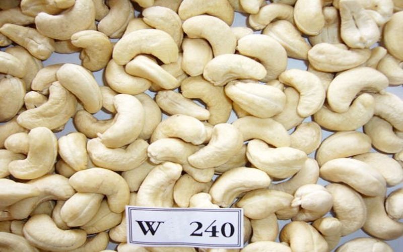 W-240,Cashew Nuts